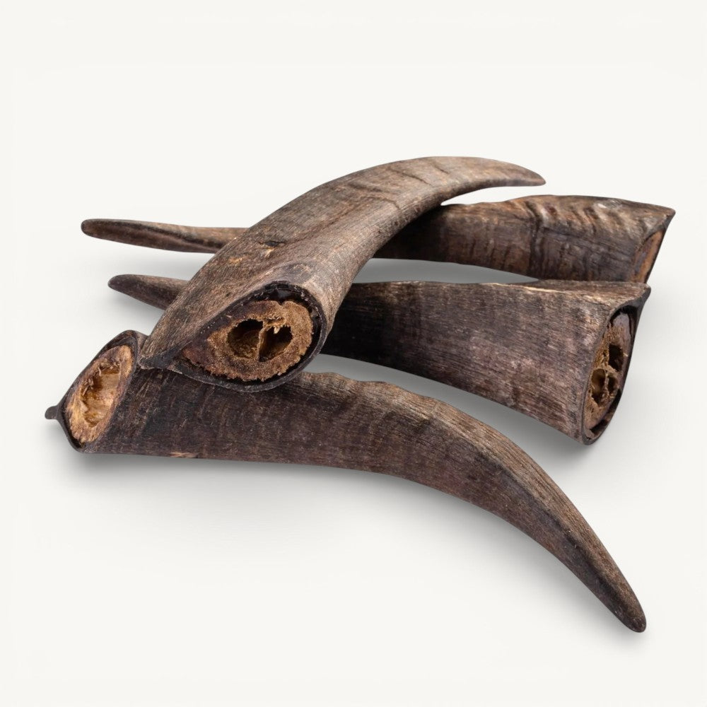 Goat Horn Chew (No Marrow) | Dental Chews