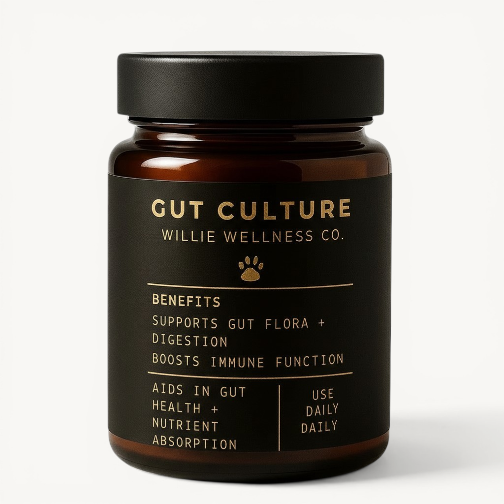 Gut Culture Probiotic Supplement
