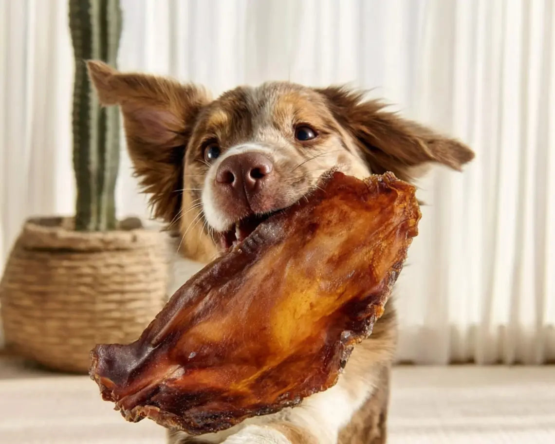 Pigs Ears Willie Wellness Co.