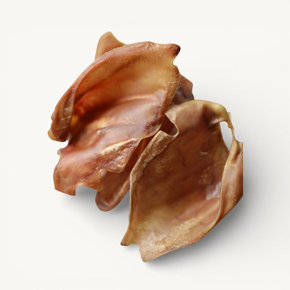 Pigs Ears | Natural Dog Treats