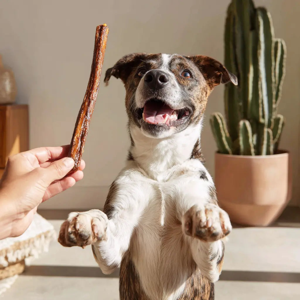 Bully Sticks - The Ultimate Dog Treat Willie Wellness Co.